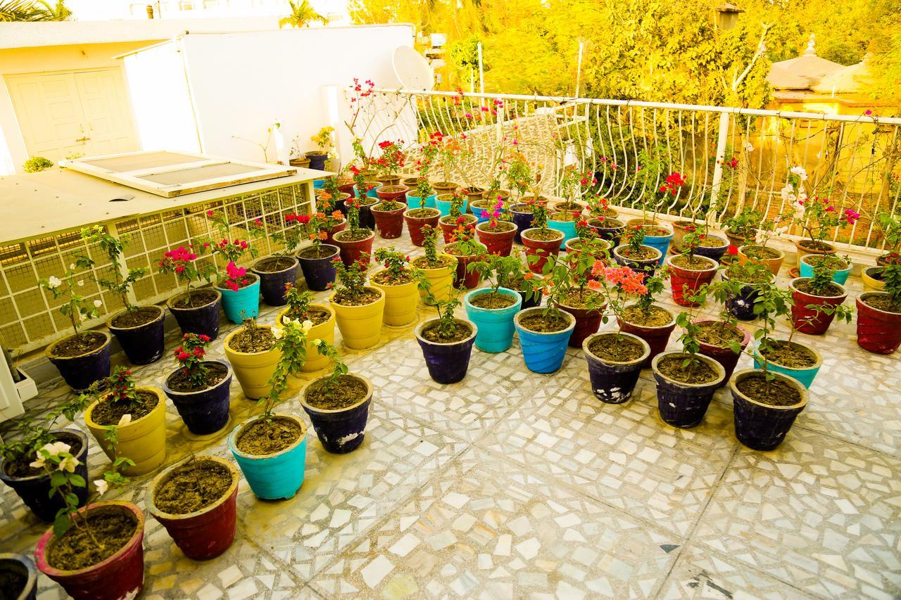 Bed and Breakfast Safarnama Agra Агра Экстерьер фото